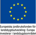 EU-flaggaEuropeiskajordbruksfondenfaerg-4.JPG